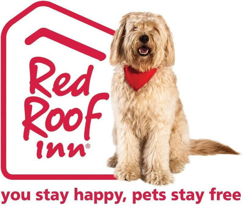 Red Roof Inn Cleveland Airport - Middleburg Heights Exteriér fotografie